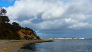 Picture from an autumn walk in Dorset woodland
