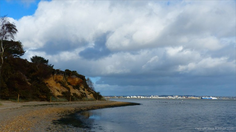 Picture from an autumn walk in Dorset woodland