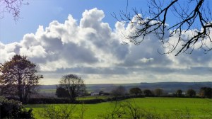 Picture with fields from an autumn walk in Dorset woodland