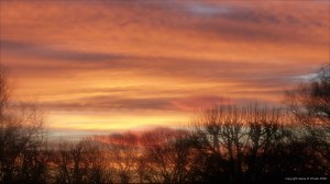 Sky at sunrise in Charlton Down