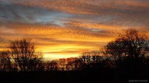 Sky at sunrise in Charlton Down