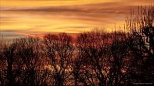 Sky at sunrise in Charlton Down