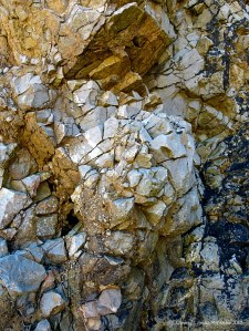 Texture and pattern in limestone