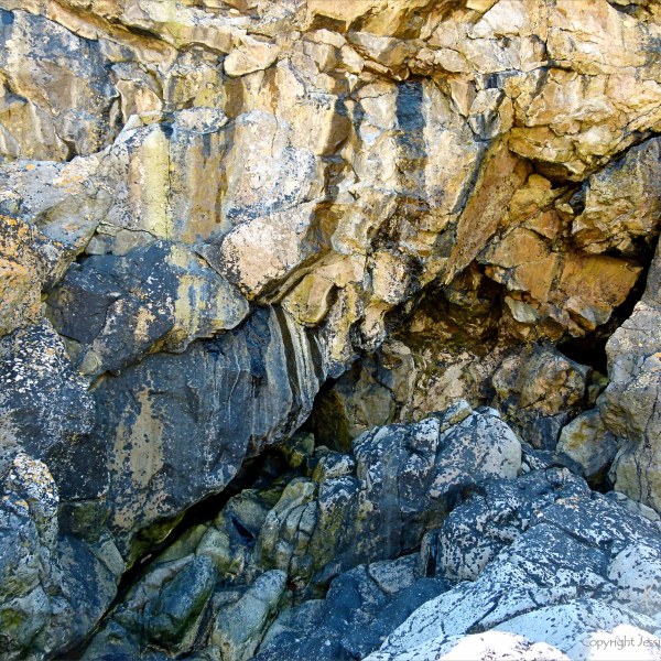 Texture and pattern in limestone