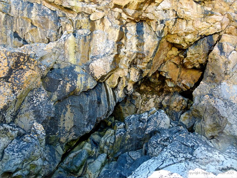 Texture and pattern in limestone