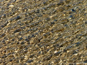Natural patterns of rippled water with reflected light