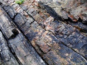 Texture and pattern in a limestone rock face