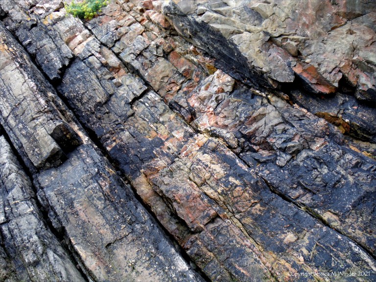 Texture and pattern in a limestone rock face