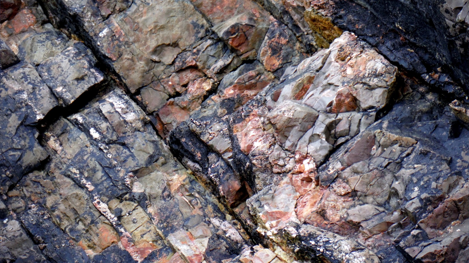 Texture and pattern in a limestone rock face