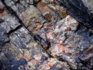 Texture and pattern in a limestone rock face