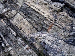Texture and pattern in a limestone rock face