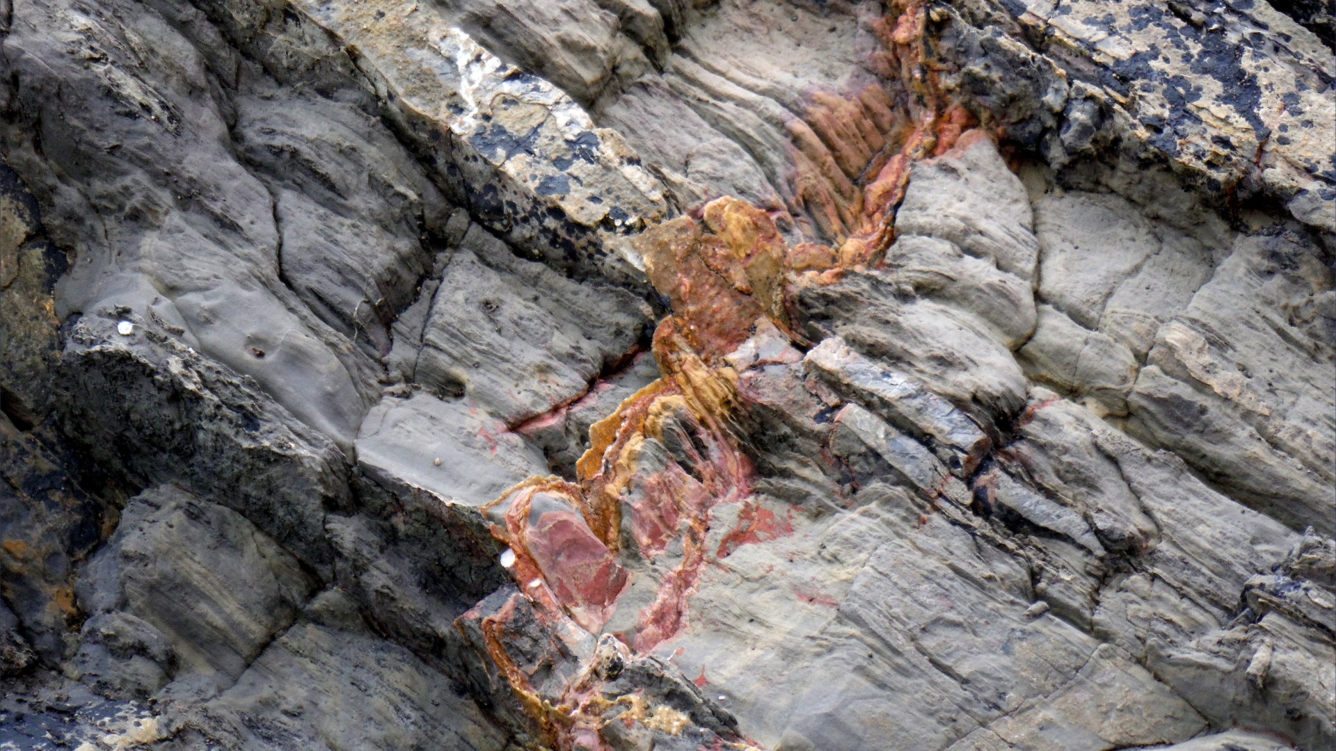 Texture and pattern in a limestone rock face
