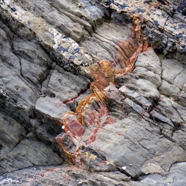 Texture and pattern in a limestone rock face