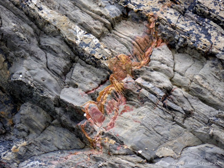 Texture and pattern in a limestone rock face
