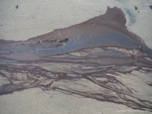 Natural patterns on sand from storm water run-off