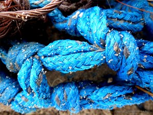 Fishing net washed up as flotsam on the beach