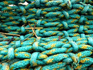 Fishing net washed up as flotsam on the beach