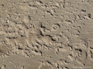 Sand texture and pattern on the beach