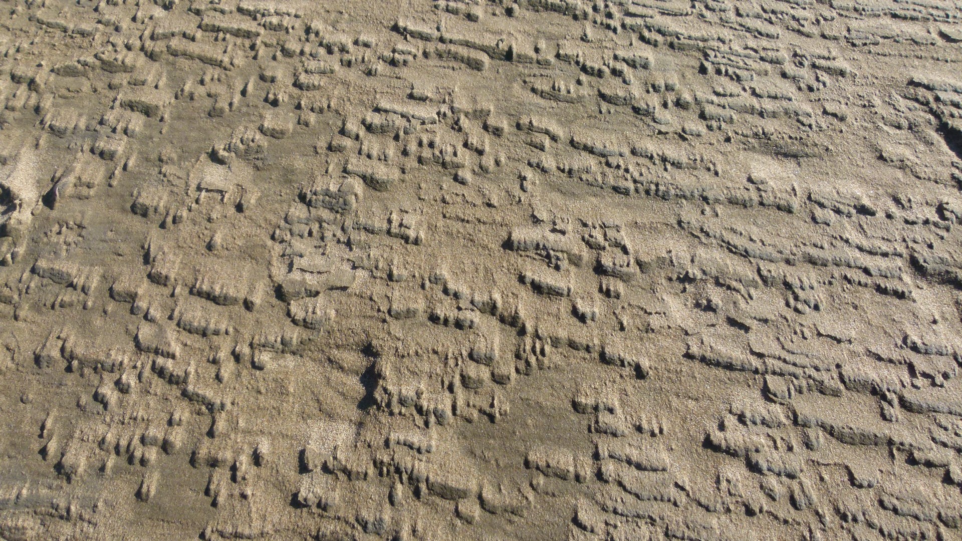 Sand texture and pattern on the beach