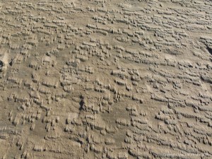 Sand texture and pattern on the beach