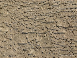 Sand texture and pattern on the beach