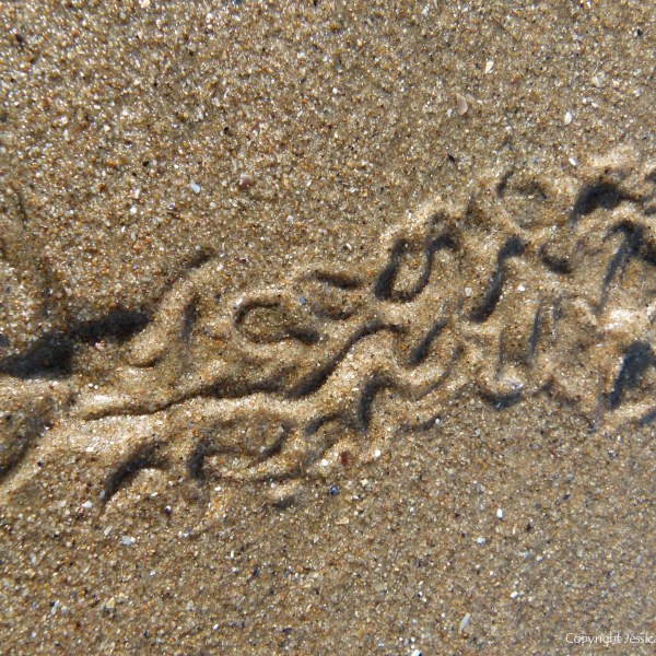 Tracks and traces on seashore sand