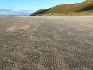 Sand ripple patterns on the beach