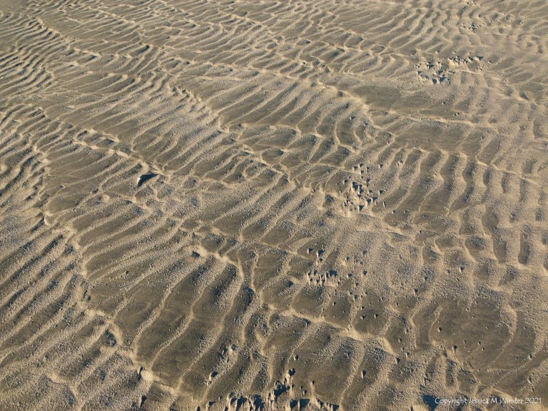 Sand ripple patterns on the beach