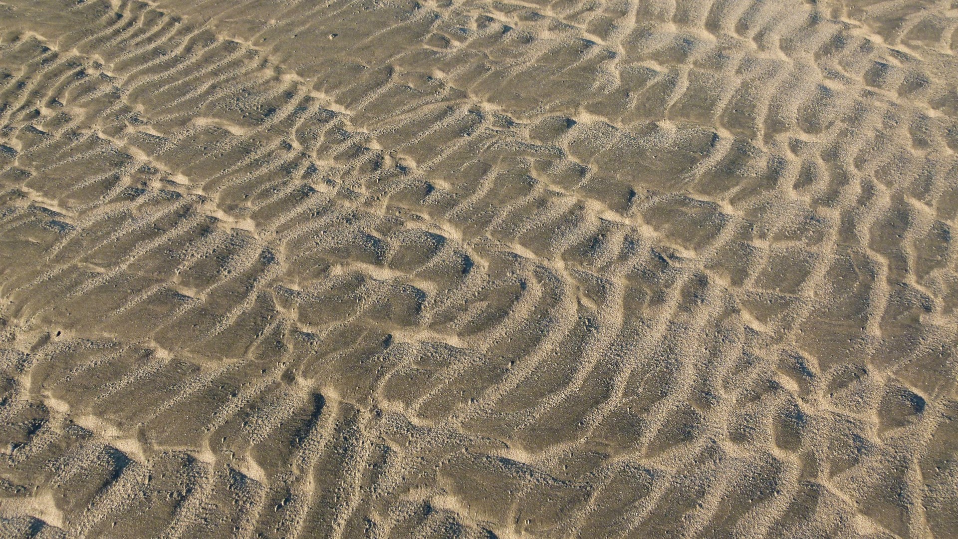 Sand ripple patterns on the beach