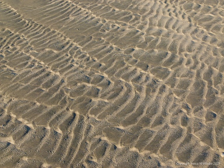 Sand ripple patterns on the beach