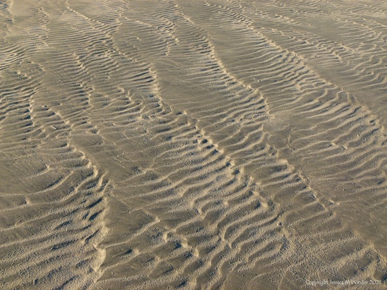 Sand ripple patterns on the beach