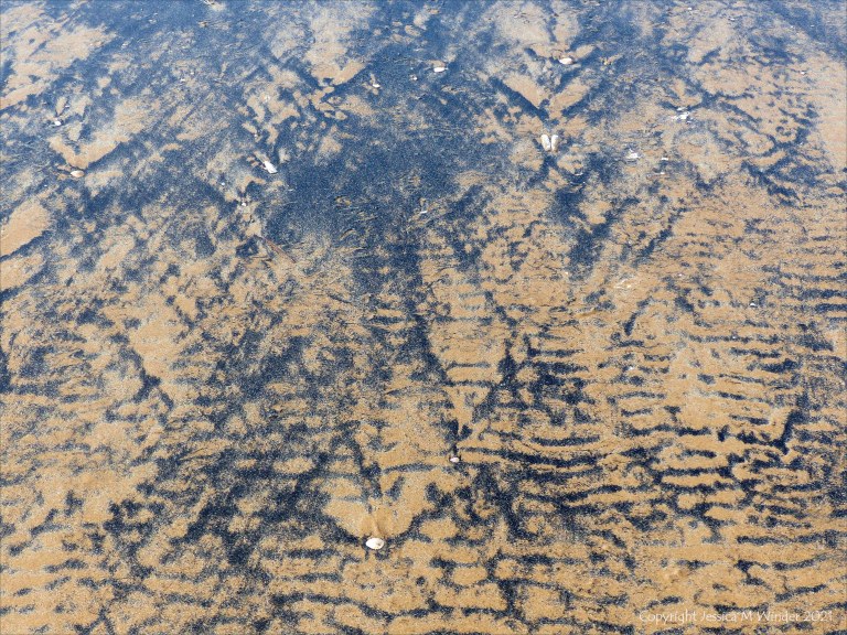 Patterns of black sediment on sand at low tide
