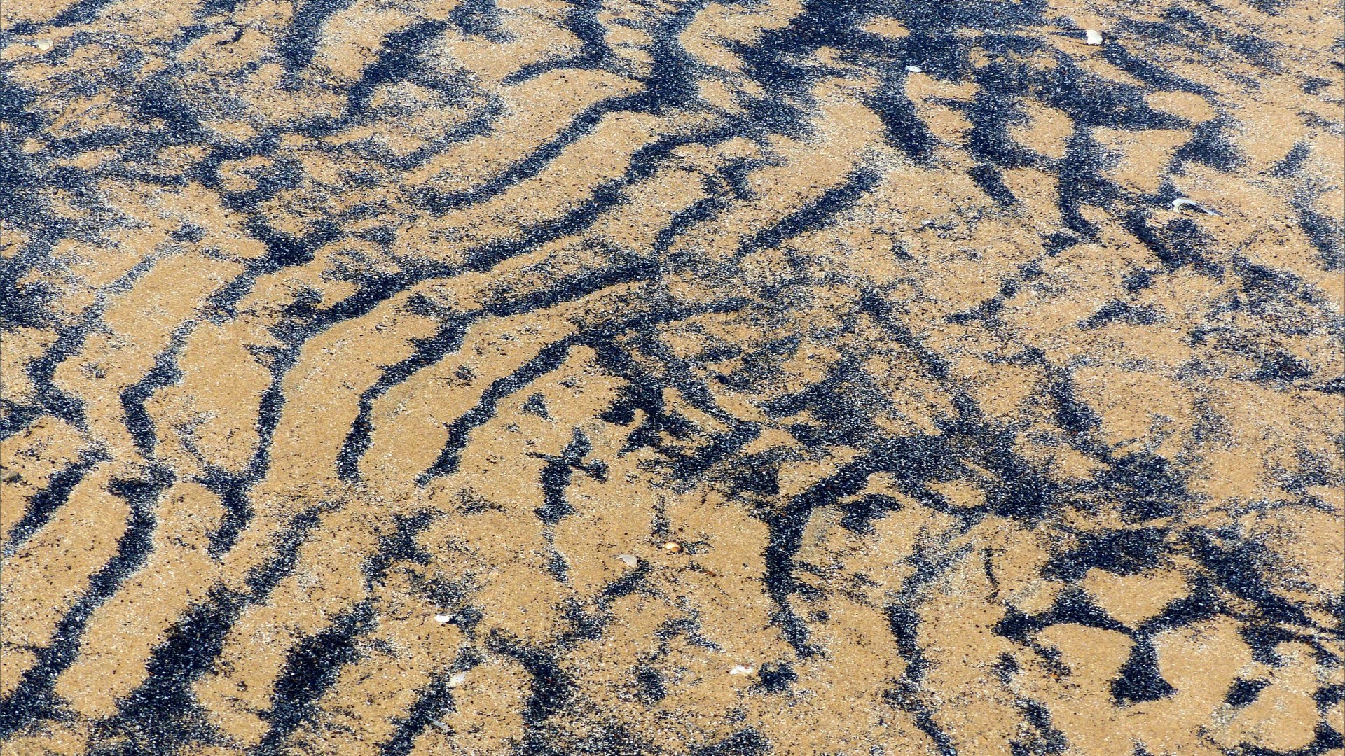Patterns of black sediment on sand at low tide
