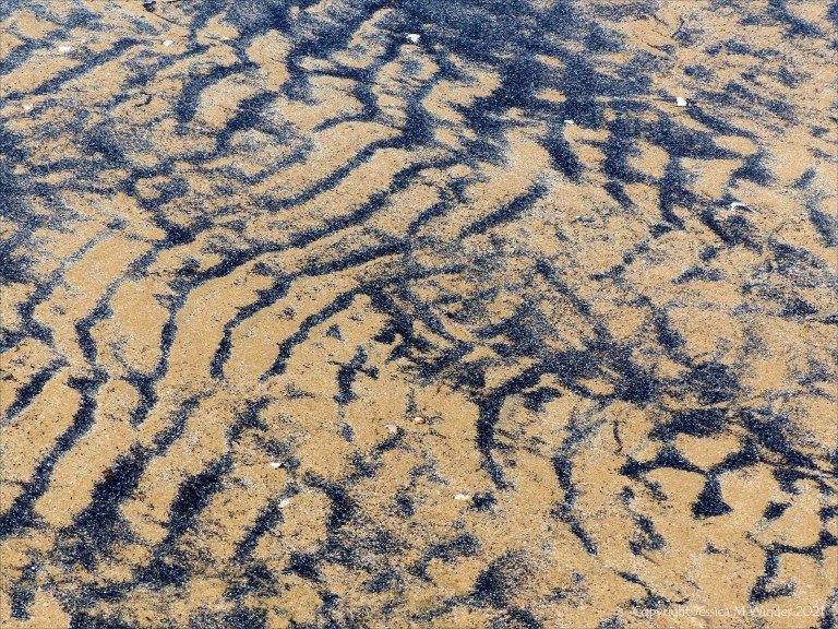 Patterns of black sediment on sand at low tide