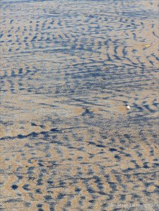 Patterns of black detritus on intertidal sand