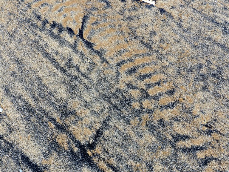 Patterns of black detritus on intertidal sand