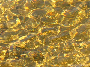 Natural patterns of reflected light on a stream