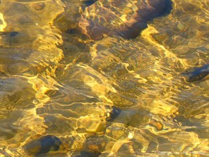 Natural patterns of reflected light on a stream