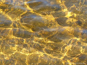 Natural patterns of reflected light on a stream