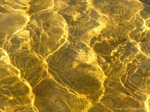 Natural patterns of reflected light on a stream