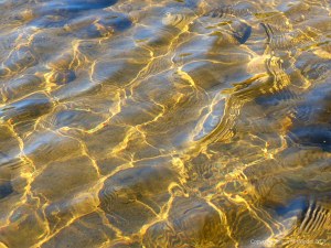 Reflected light on the surface of a stream