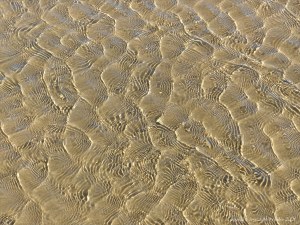 Patterns of reflected light on wind-driven ripples in a tidal pool over sand