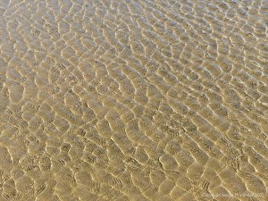 Patterns of reflected light on wind-driven ripples in a tidal pool over sand