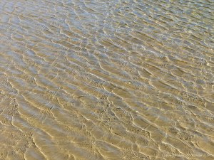 Patterns of reflected light on wind-driven ripples in a tidal pool over sand