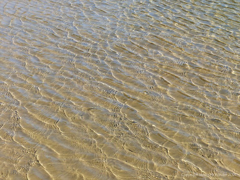 Patterns of reflected light on wind-driven ripples in a tidal pool over sand