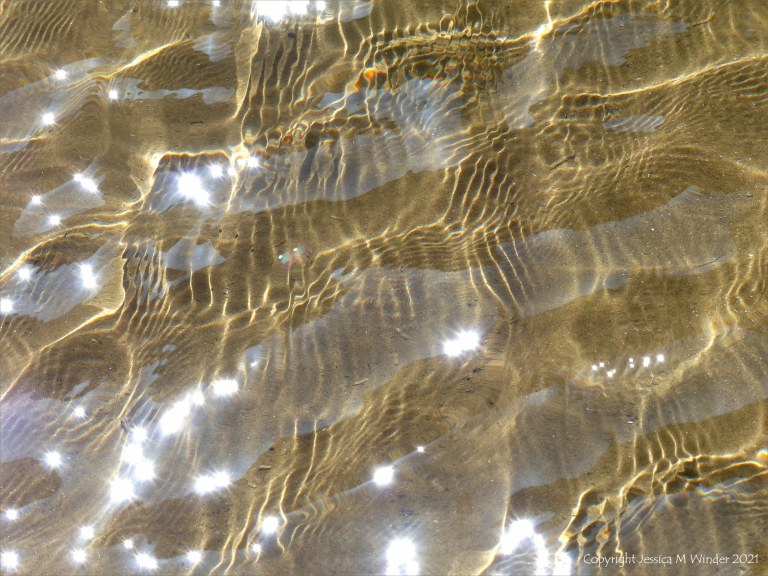 Reflected light on the surface of a stream with sparkles