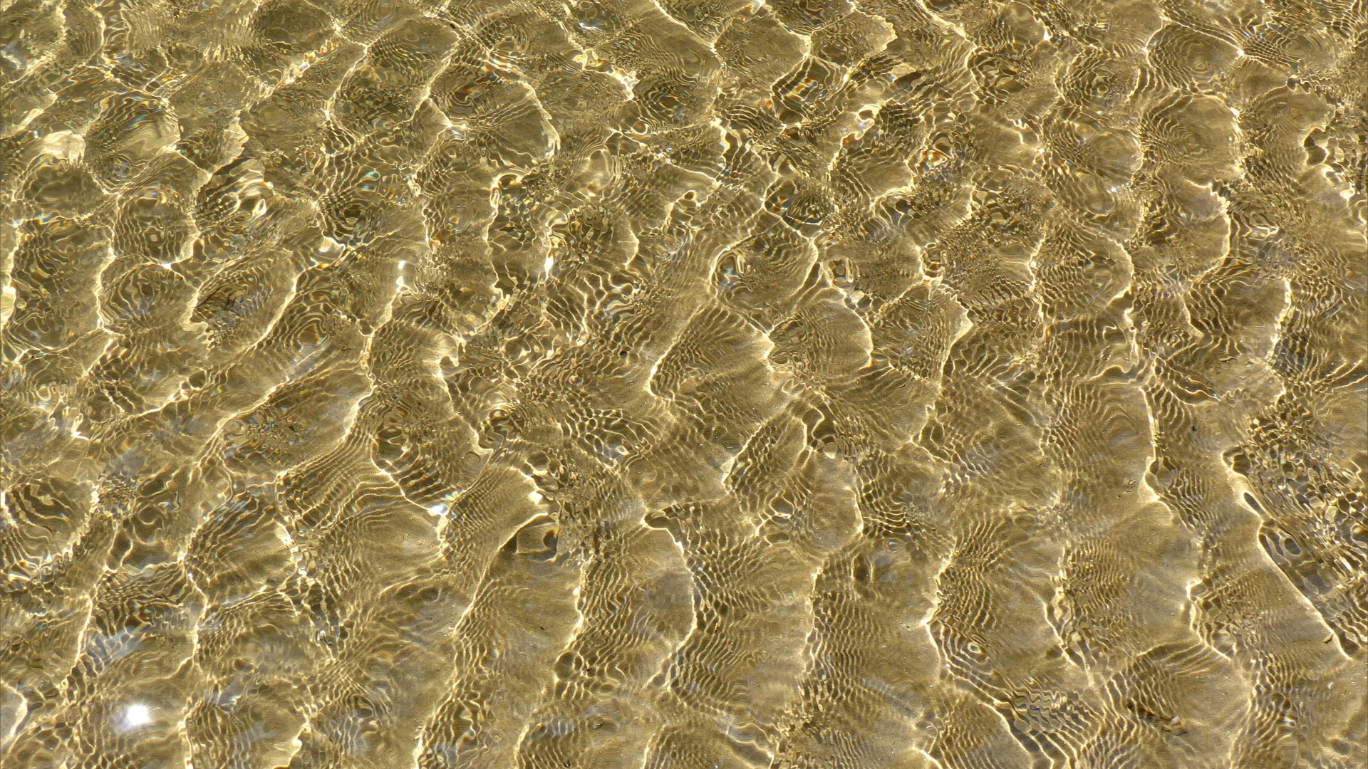 Patterns of reflected light on wind-driven ripples in a tidal pool over sand
