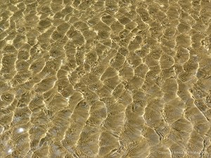 Patterns of reflected light on wind-driven ripples in a tidal pool over sand