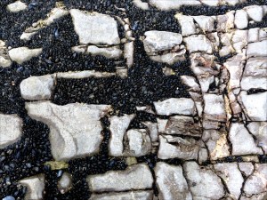 Patterns of mussels growing on rocks