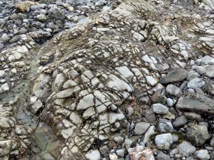 Pattern of cracks and crevices in rocks
